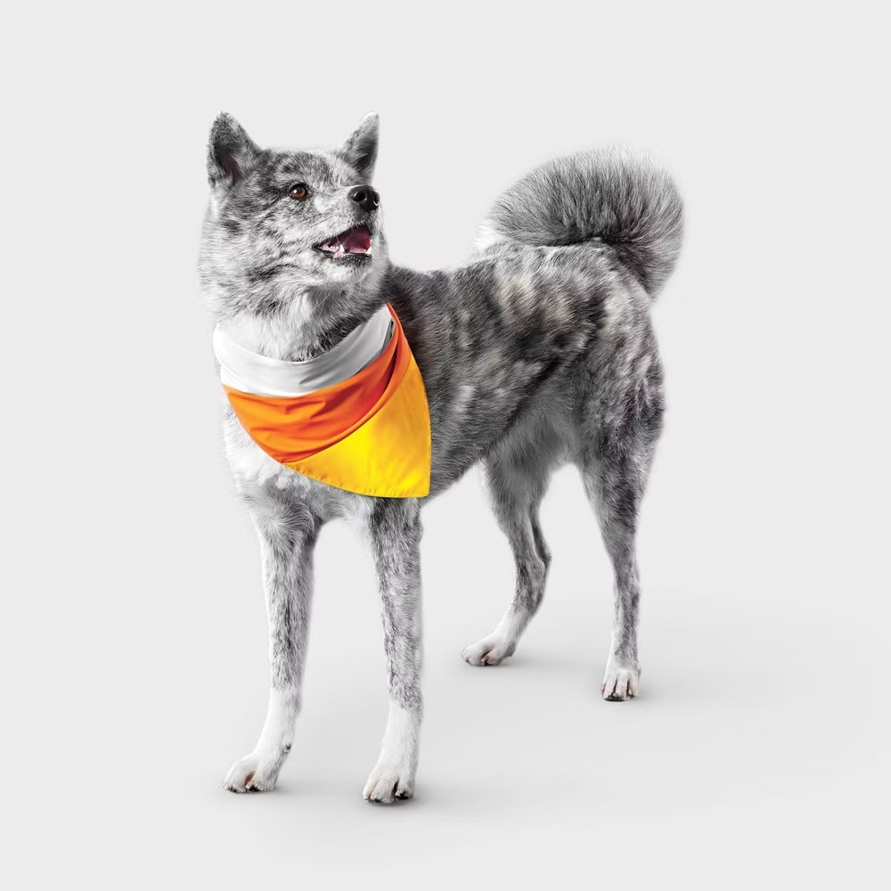 Boots & Barkley Reflective Candy Corn Dog Bandana Recycled Polyester Halloween‎